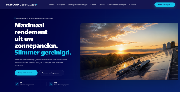 Schoonvermogen